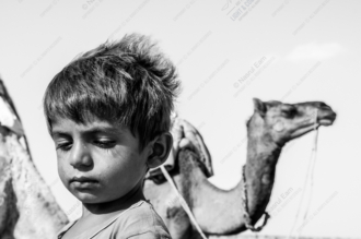 Desert Reverie: Boy and Camel