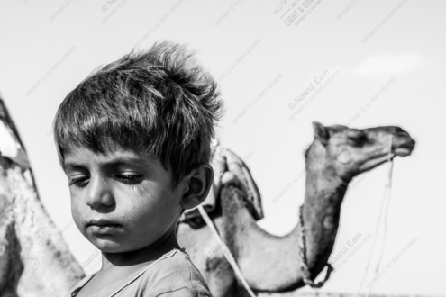 Desert Reverie: Boy and Camel - Fine Art Photography Print, Limited Edition Photography, Luxury Photography Art,  Museum-Quality Photography, Art Photography Collectors