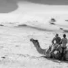 Desert Pause: Riders and Resting Camel - Fine Art Photography Prints, Limited Edition Photography, Luxury Photography Art, Museum-Quality Photography, Fine Art Prints