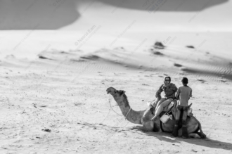 Desert Pause: Riders and Resting Camel