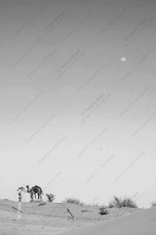 Desert Figures Under a Day Moon