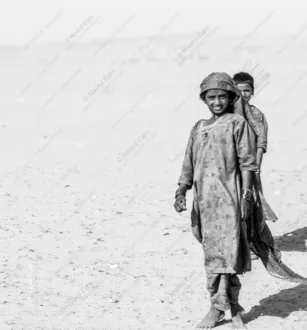Desert Bloom: A Portrait of Resilience