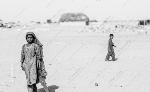 Desert Bloom - Limited Edition Photography, Photography Art for Sale, Luxury Photography Art, Fine Art Prints