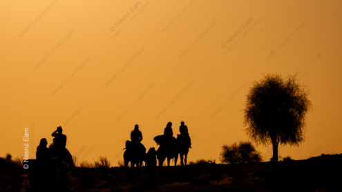 Desert Crossing - Fine Art Photography Prints, Limited Edition Photography, Luxury Photography Art, Museum-Quality Photography, Art Photography for Sale