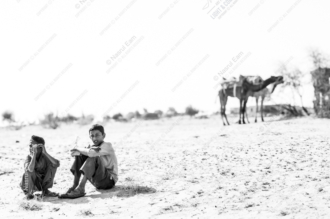 Desert Pause
