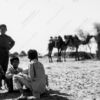 Youths and Camels in a Sunlit Plain