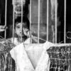 Behind Bars, Beyond Fabric - Fine Art Photography Print, Limited Edition Photography, Giclée Print,  Museum-Quality Photography, Art Photography for Sale
