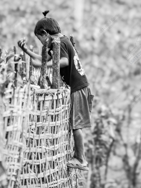 Boy on a Woven Wall - Fine Art Photography Print, Limited Edition Photography, Giclée Print, Monochrome Photography, Art Photography for Sale