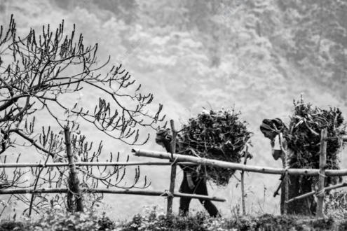 The Burden Shared - Fine Art Photography Prints, Limited Edition Photography, Luxury Photography Art, Black and White Photography, Photography Art for Sale