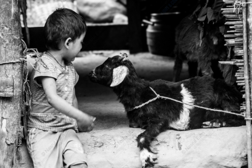 Silent Dialogue - Fine Art Photography Prints, Limited Edition Photography,  Luxury Photography Art,  High-End Photography Prints, Art Photography Collectors