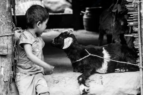 Silent Dialogue - Fine Art Photography Prints, Limited Edition Photography,  Luxury Photography Art,  High-End Photography Prints, Art Photography Collectors