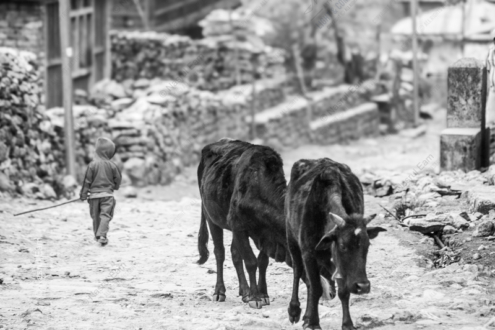 Shepherd's Path - Fine Art Photography Prints, Limited Edition Photography, Luxury Photography Art, Monochromatic Photography,  Art Photography for Sale