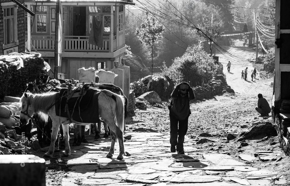 A Figure and Pack Animals on a Sunlit Stone Path