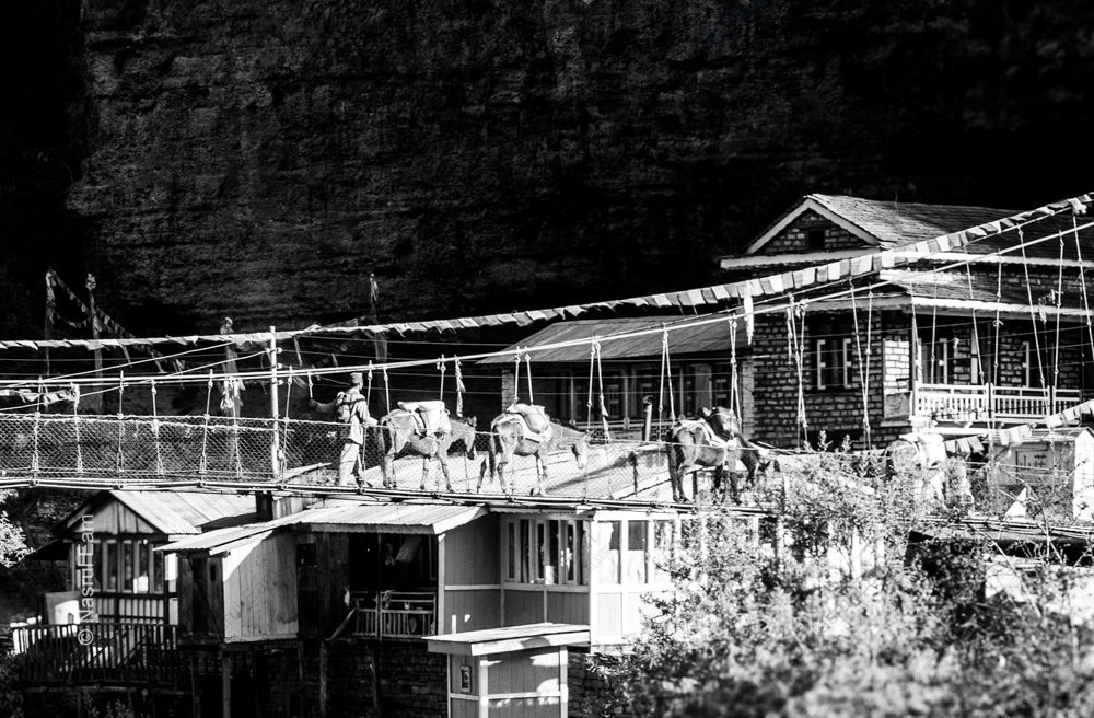 A Caravan Crossing the High Bridge