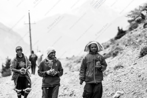 Stewards of the Saplings - Fine Art Photography Print, Limited Edition Photography, Museum-Quality Artwork,  Art Photography Collectors,  Environmental Photography