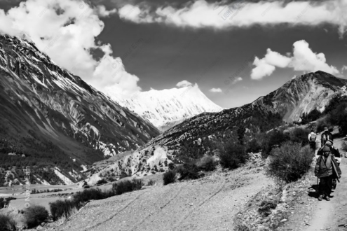 Ascent to the High Valley