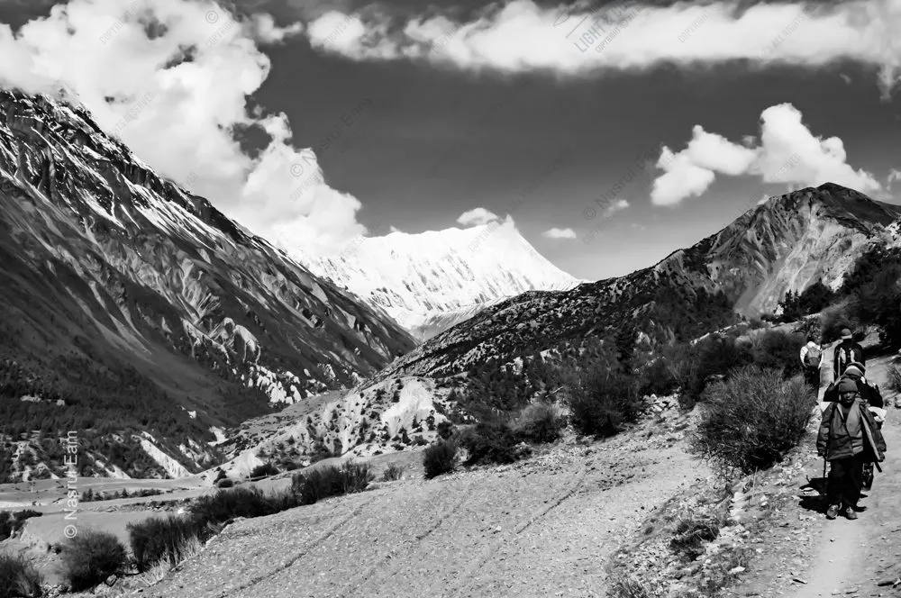 Ascent to the High Valley