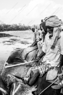 Riders on the River - Fine Art Photography Print, Limited Edition Photography, Documentary Photography,  Monochromatic Photography,  Art Photography for Sale