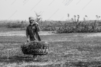 A Farmer Carrying His Woven Burden - Fine Art Photography Print, Limited Edition Photography, Monochrome Photography, Luxury Photography Art, Human Interest Photography