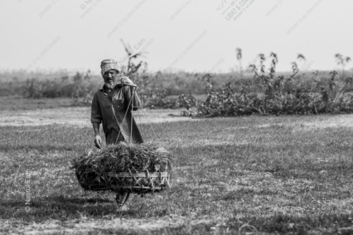 A Farmer Carrying His Woven Burden - Fine Art Photography Print, Limited Edition Photography, Monochrome Photography,  Luxury Photography Art,  Human Interest Photography