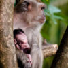 Mother and Child - Fine Art Photography Print, Limited Edition Photography, Mother and Child,  Luxury Photography Art,  Wildlife Photography
