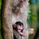 Sanctuary: Mother and Child - Fine Art Photography Print, Limited Edition Photography, Giclée Print,  Mother and Child,  Wildlife Photography