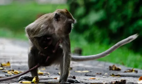 Tender Embrace - Fine Art Photography Print, Limited Edition Photography,  Museum-Quality Photography,  High-End Photography Prints,  Fine Art Prints