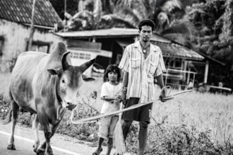 Dust and Inheritance