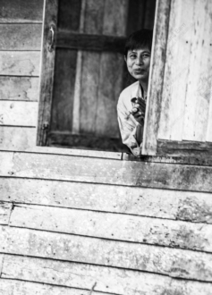 Threshold of Quietude