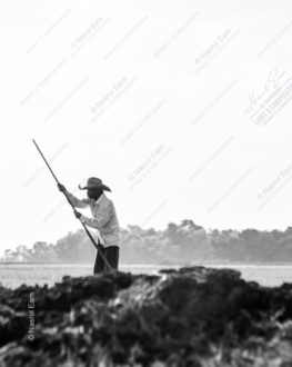 A Solitary Figure of a Man