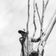 Builder Against the Sky Builder Against the Sky - Fine Art Photography Print, Limited Edition Photography,  Contemporary Art Photography,  High-Quality Art Prints,  Art Photography for Collectors