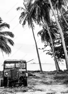 An Abandoned Truck Beneath the Palms - Fine Art Photography Print, Limited Edition Photography, Museum-Quality Photography, Black and White Photography, Fine Art Print