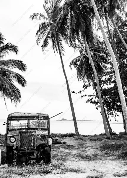 An Abandoned Truck Beneath the Palms - Fine Art Photography Print, Limited Edition Photography, Museum-Quality Photography, Black and White Photography, Fine Art Print
