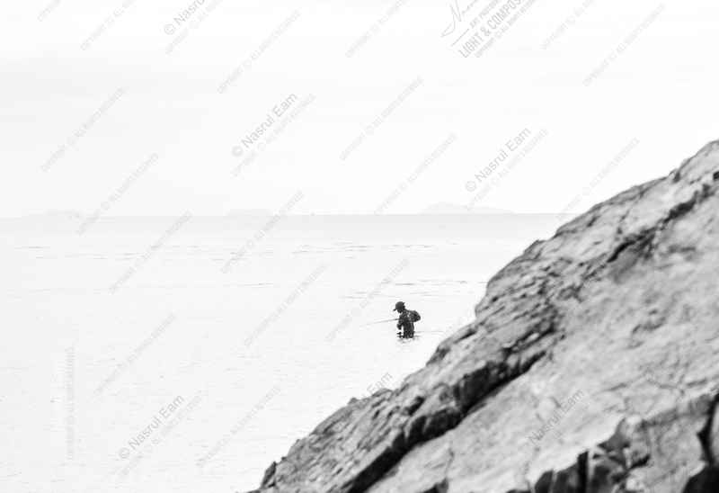 The Solitary Wader by the Rocks