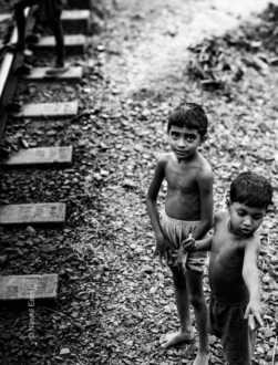 Stone Path, Uncertain Gaze