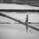 Between the Paddies - Fine Art Photography Prints, Limited Edition Photography, Monochrome Photography, Landscape Photography, Art Photography Prints