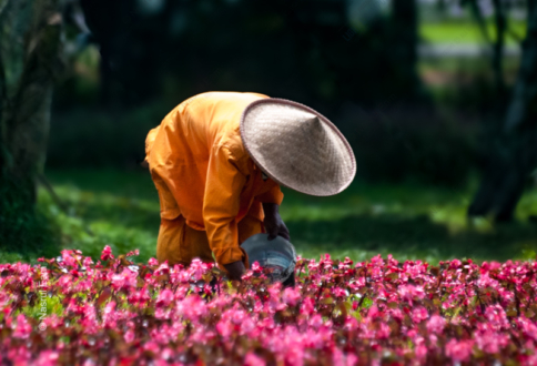 Guardian of the Crimson Bloom - Fine Art Photography Print, Limited Edition Photography, Museum-Quality Artwork,  Luxury Photography Art,  Art Photography for Sale