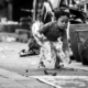 nasrul eam 20171111 Bali DRE 3184