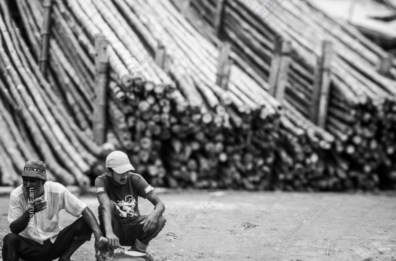 Respite by the Timber Stacks