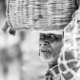 A Man Carrying a Large Woven Basket - Fine Art Photography Print, Limited Edition Print, Monochrome Photography, Giclée Print,  Humanity Photography