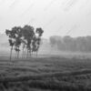 Morning Mist on the Cultivated Field - Fine Art Photography Print, Limited Edition Photography, Landscape Photography, Monochrome Photography, Art Photography for Sale