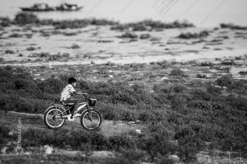 Coastal Journey