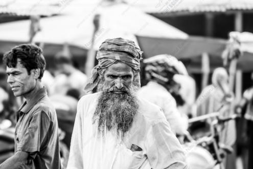 Steadfast Gaze - Fine Art Photography Print, Limited Edition Photography, Museum-Quality Artwork, Luxury Photography Art, Photography for Collectors
