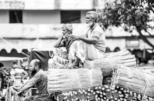 Guardians of the Harvest - Fine Art Photography Prints, Limited Edition Photography, Giclée Prints,  Art Photography for Sale,  Fine Art Photography