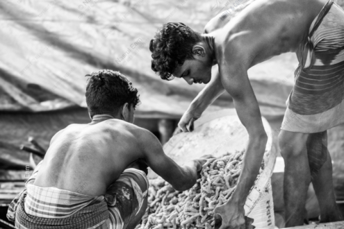 Sorting Turmeric - Fine Art Photography Print, Monochrome Photography, Limited Edition Print,  Documentary Photography,  Human Interest Photography