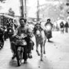 Urban Horse and Rider - Fine Art Photography Print, Limited Edition Print, Monochrome Photography, Urban Photography, Street Photography