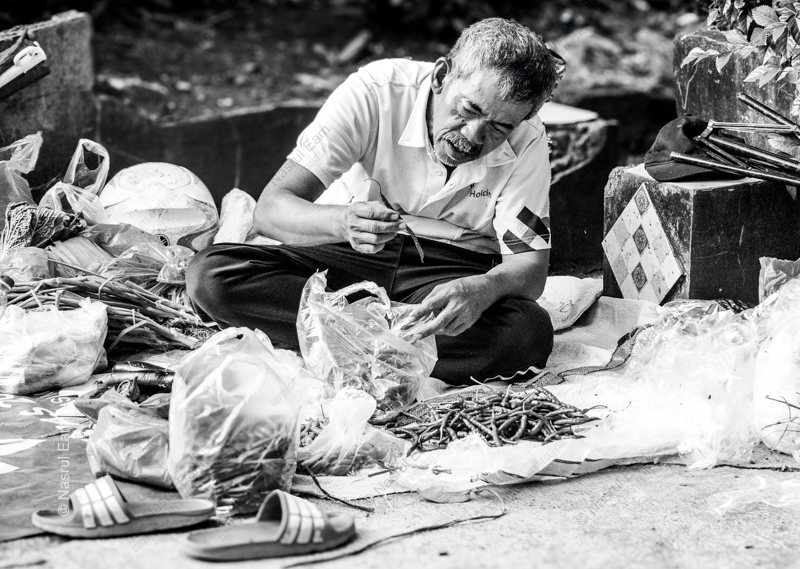 Sorting Roots