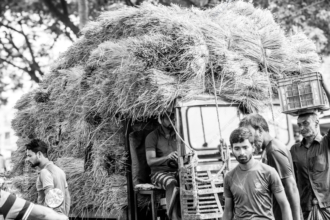 Harvest Burden