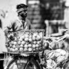Cycle of Sustenance - Fine Art Photography Prints, Limited Edition Photography, Giclée Prints,  Art Photography Investment,  Luxury Photography Art