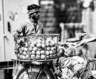 Cycle of Sustenance - Fine Art Photography Prints, Limited Edition Photography, Giclée Prints, Art Photography Investment, Luxury Photography Art